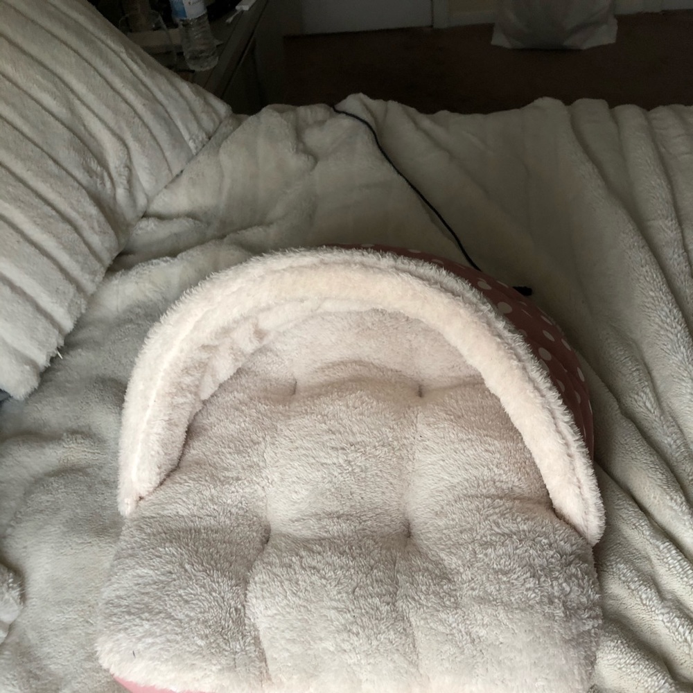 XS Canopy Dog Bed
